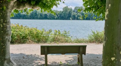 Peaceful bench by a tranquil lake under green trees, perfect for reflection and relaxation.