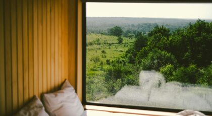 Relax in a comfy cabin with a beautiful forest view through the window in Poltava Oblast, Ukraine.