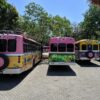 Vibrant Xcaret buses parked amidst lush trees in Playa del Carmen, Mexico.