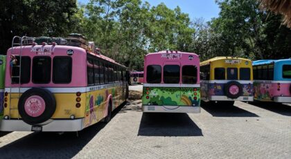 Vibrant Xcaret buses parked amidst lush trees in Playa del Carmen, Mexico.